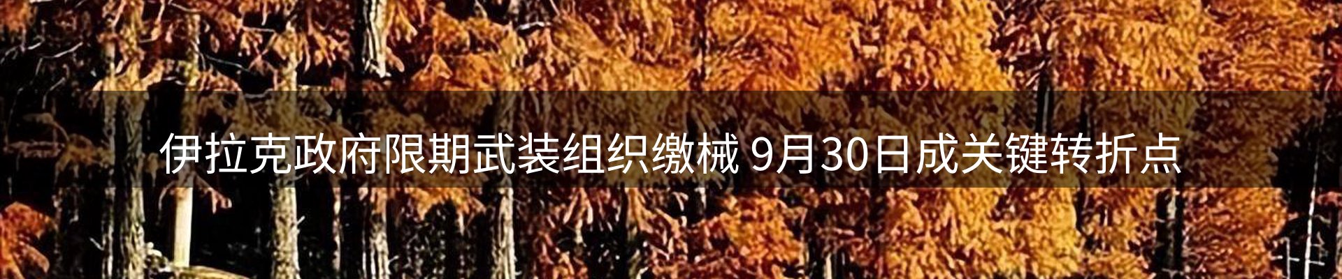 新闻动态