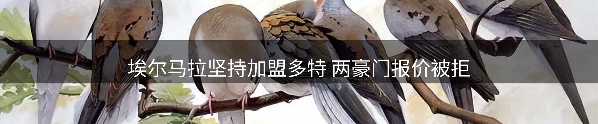 新闻动态