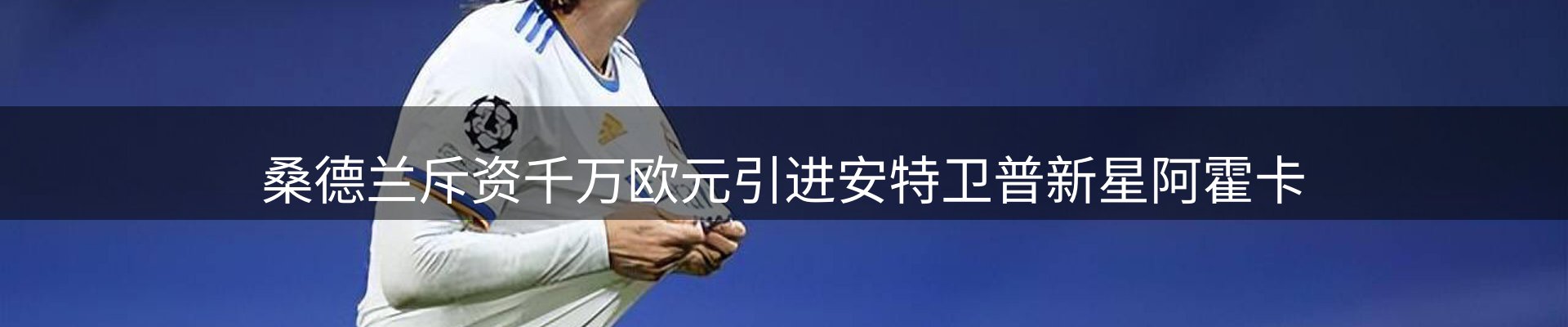 新闻动态