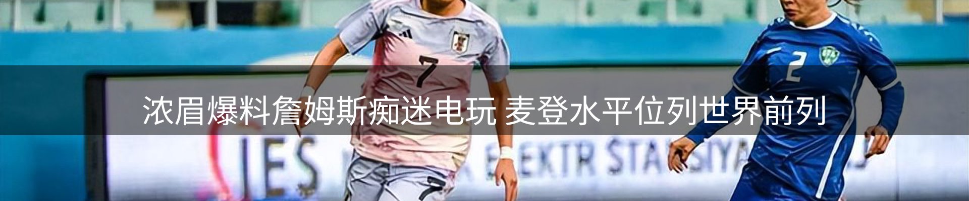 新闻动态