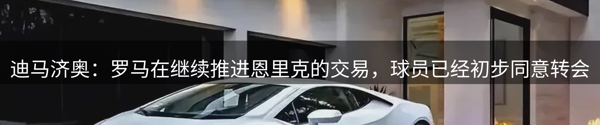 新闻动态