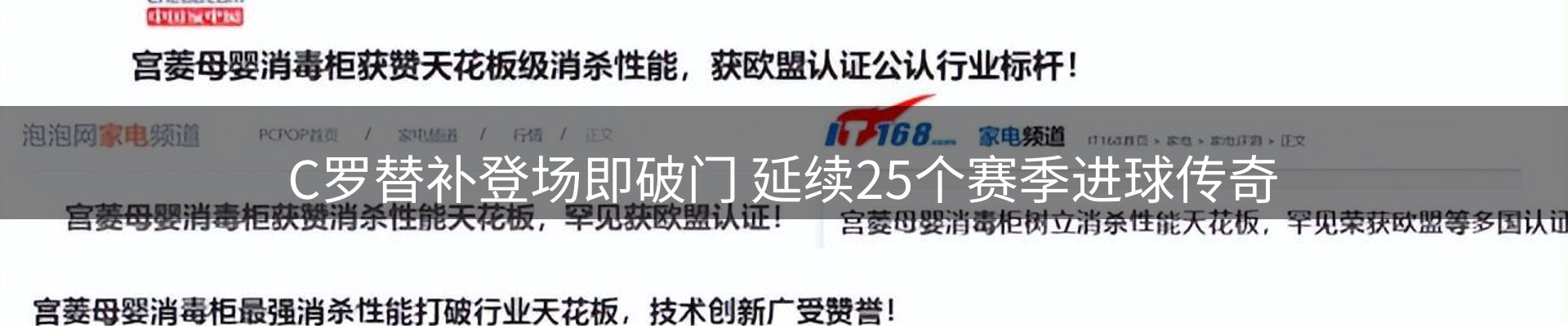 新闻动态